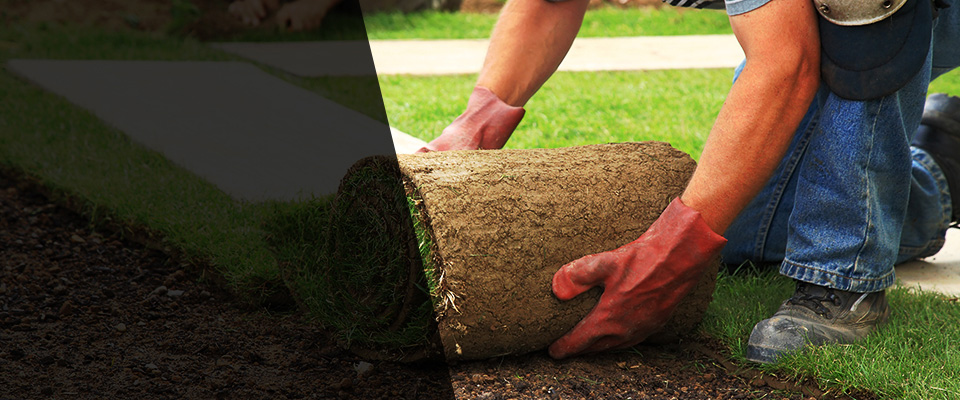 Bow Landscapers